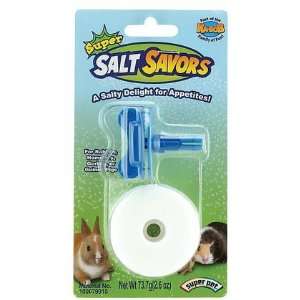  Salt Savors with Holder (Quantity of 4) Health & Personal 