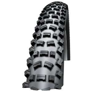  Schwalbe Fat Albert Rear Folding Bead Tire (26X2.4 