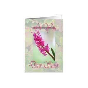  Birthday Dear Sister, Hyacinth Card Health & Personal 