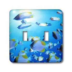   Saipan   Light Switch Covers   double toggle switch