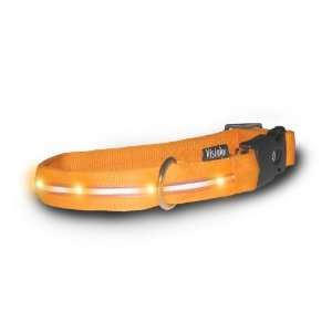  Medium Orange w  Orange Lights Case Pack 25   664523 