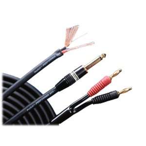  Monster Cable P500 S 10 Performer 500 Speaker Cable (10 ft 