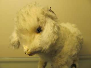 VINTAGE ANTIQUE TOY WIND UP GOAT DECAMPS FRENCH LEHMANN BING CIRCA 