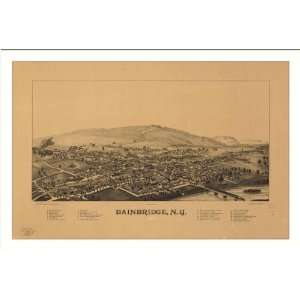  Historic Bainbridge, New York, c. 1889 (M) Panoramic Map 