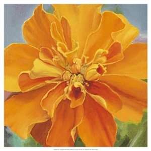  Bethany Winslow   Just A Marigold Canvas