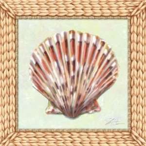 Seashell II   Shari Warren 8x8 