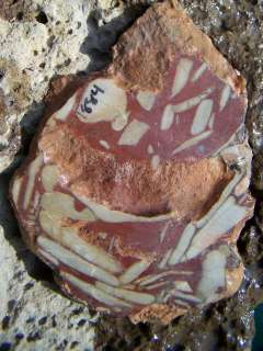 Cool Mystery Jasper Slab Great For Cabs Lapidary  
