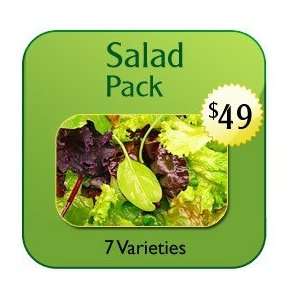 Salad Pack   Non Hybrid Seeds Patio, Lawn & Garden