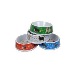Melamine Pet Bowl With Assorted Bright Designs jpseenterprises