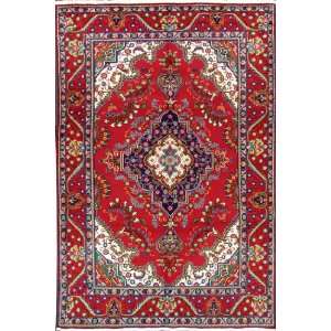   Free Pad 7x10 Handmade Hand Knotted Persian Rug G361