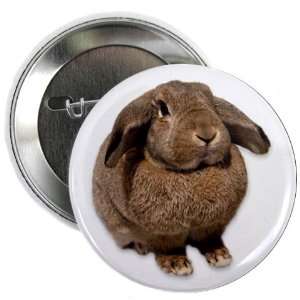  Fat BUNNY RABBIT Easter Animals 2.25 Pinback Button Badge 