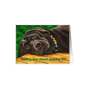  Funny Birthday ~ 31 Years Old ~ Labrador Dog Card: Toys 