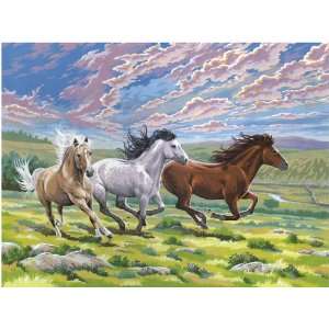  Paint By Number Kit 12X15 1/2 Galloping Horses 