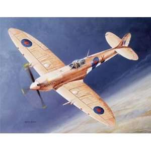   Italeri   1/48 Spitfire MK IX (Plastic Model Airplane) Toys & Games