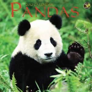  Pandas 2012 Wall Calendar