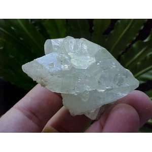  Zs0106 Gemqz Clear Apophyllite Crystal Cluster Nice 
