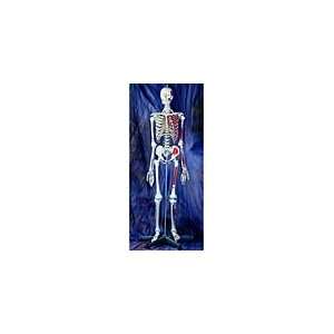 Life Size Human Skeleton Models & Accessories:  Industrial 