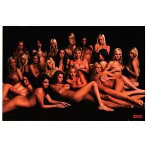  Zoo Girls   College Poster   22 x 34