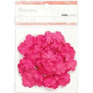    Paper Flowers .79 (2Cm) 50/Pkg   Hot Pink: Arts, Crafts & Sewing