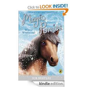 Magic Ponies: Winter Wonderland: Winter Wonderland: Sue Bentley 