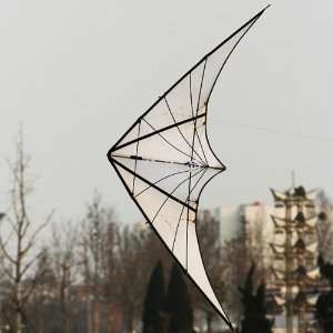   Dual line Trick Stunt Kite 7.9 Feet/2.4 Meter   White Spider: Sports