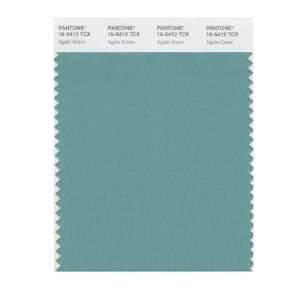   SMART 16 5412X Color Swatch Card, Agate Green: Home Improvement