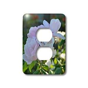   Pink Roses Romantic Flowers Flower Photography   Light Switch Covers