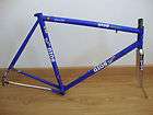 gios evolution frame kelme proteam campagnolo 53x54 used by laudelino