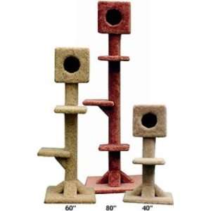   Single Cube Cat Tree : Color BURGUNDY : Size 80 INCH: Kitchen & Dining