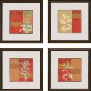  Plant Study by Scaletta Florals Art (Set of 4)   23 x 23 