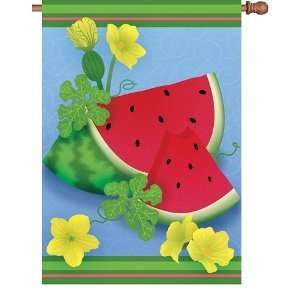    Premier Designs 28 In Flag   Summer Watermelon Toys & Games