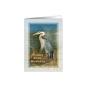  Birthday, 60th, Great Blue Heron Bird Card Toys & Games