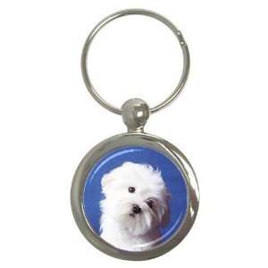 maltese Puppy Dog 3 Round Key Chain AA0723