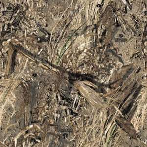  Camo Systems Mossy Oak Duck Blind Ultra lite Camouflage 