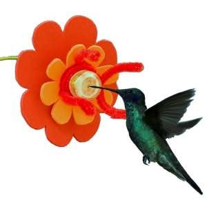   Hummingbird Feeder Craft Kit (makes 1 project) Toys & Games