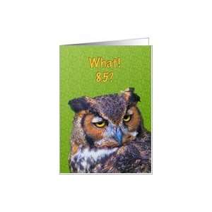  85th Birthday Card with Great Horned Owl Card Toys 