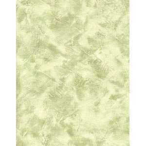 Rag Painting Faux Finish Series 6119 Celery Vinyl Tablecloth 54 X 75 