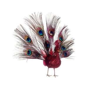  10 Glitter Open Tail Peacock Red (Pack of 12)