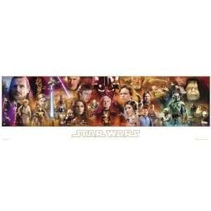  Star Wars Door Poster Character Collage Color Change 