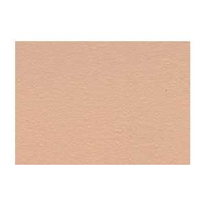   Suede Paper 10 Pack 19x27   Outback Blush: Arts, Crafts & Sewing