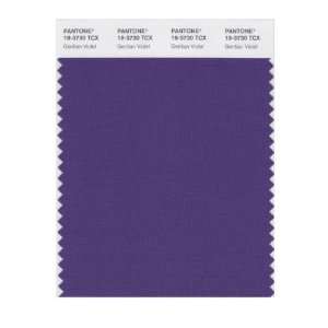  PANTONE SMART 19 3730X Color Swatch Card, Gentian Violet 