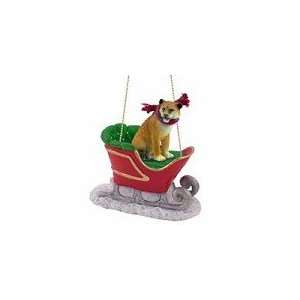  Lioness Sleigh Ride Christmas Ornament: Home & Kitchen