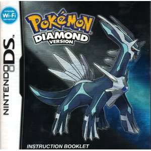   DS Instruction Booklet (Nintendo DS Manual Only) (Nintendo DS Manual