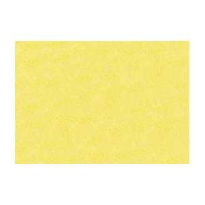   Standard Box of 3   Cadmium Yellow Light 301 Arts, Crafts & Sewing