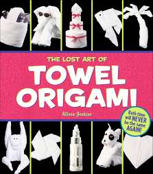 The Lost Art of Towel Origami (Paperback)  