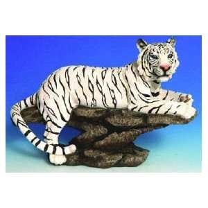 Large Siberian (White) Tiger on Rock 