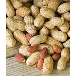  Peanut, Jumbo Virginia 1 Pkt. (1/2 lb.)