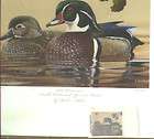 2010 Wisconsin Ducks Unlimited Duck Stamp Print (Signed / Numbered)