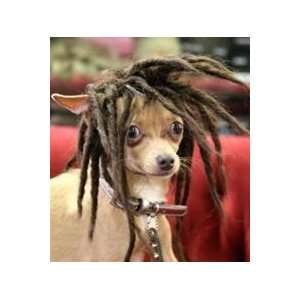  Marley Dog Wig