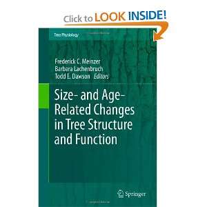  Size  and Age Related Changes in Tree Structure and 